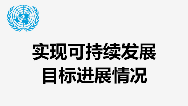 实现可持续发展目标进展情况.png