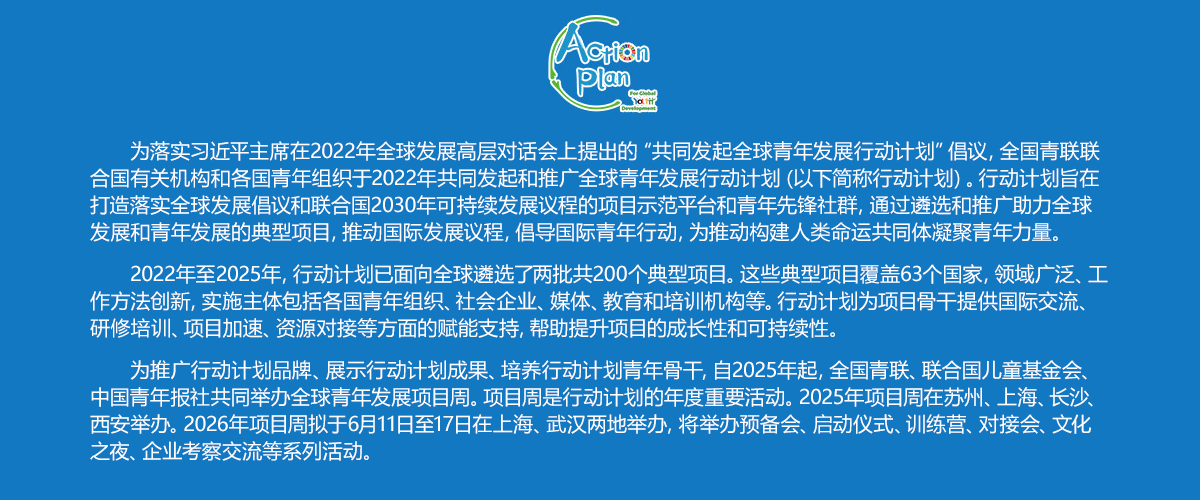 行动计划.png