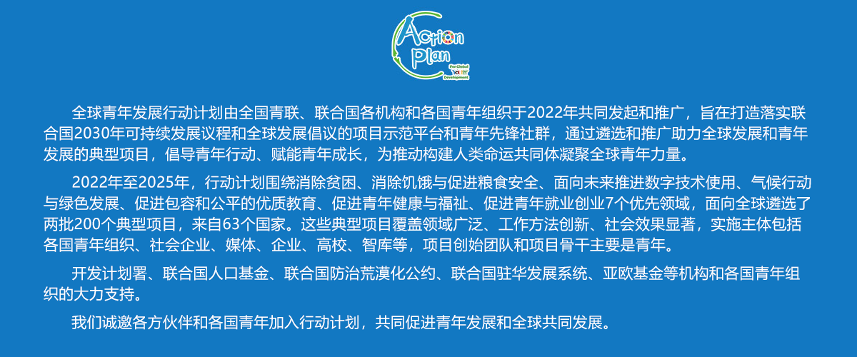 行动计划介绍 中文版.png