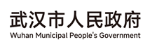 武汉市人民政府.png
